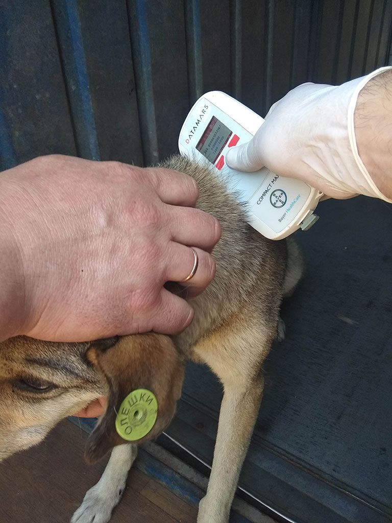 ЗооКонтроль - унікальна мобільна ветеринарна служба: Ідентифікація та реєстрація ЗооКонтроль - унікальна мобільна ветеринарна служба: Ідентифікація та реєстрація